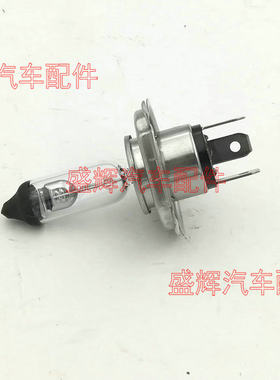 萨瓦纳蒙派克风景G7迷迪大灯灯泡