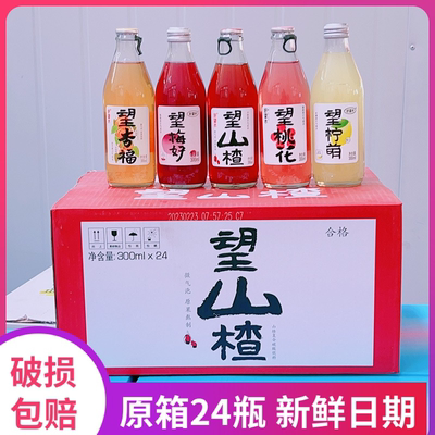 好望水望山楂网红碳酸饮料气泡水