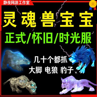 魔兽世界猎人宝宝灵魂兽大脚阿克图瑞斯洛卡纳哈班萨罗斯电狼宠物