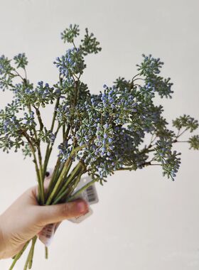 仿真品质秋色海棠果 趣味果子花材 花艺陈列设计秋色复古摄影蓝色