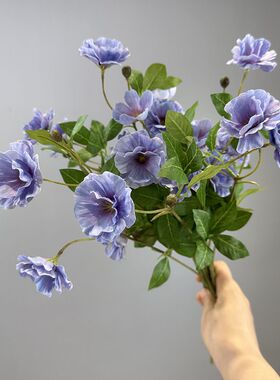 靓陆莲插花中国银莲枝紫娟1