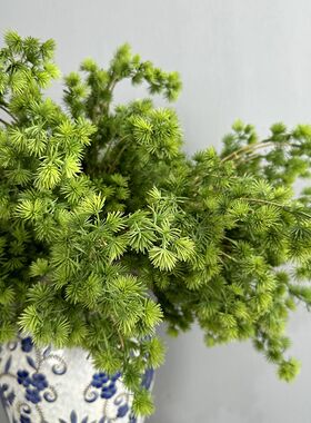仿真蓬莱松 崖柏 松枝 中式花艺设计 现代仿真花束 商务花艺设计
