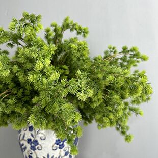 仿真蓬莱松 崖柏 松枝 中式花艺设计 现代仿真花束 商务花艺设计