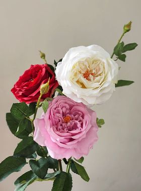 仿真花 奥斯汀玫瑰 单支高品质家居客厅插花白色粉紫大红色花材