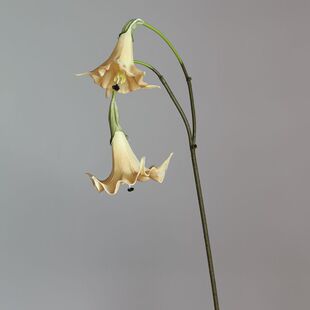 仿真花曼陀罗客厅卧室餐厅桌面摆放花卉 ins风仿真植物PU手感花艺