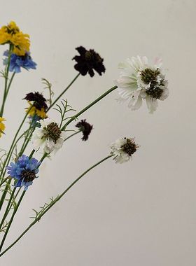 田园风松虫草仿真花蓝盆花 矢车菊单枝假花 绢花家居装饰摄影道具