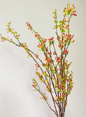 靓果实室内内地插花枝桔色手感1