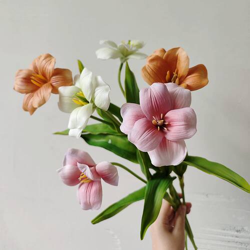 靓郁金香手捧中国插花枝蓝手感1