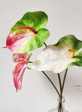 靓红掌室内中国插花枝绿手感1