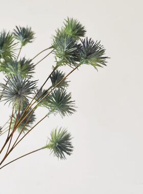 合欢花仿真假花室内客厅装饰插花摆件风毛菊塑料花含笑花雪球花