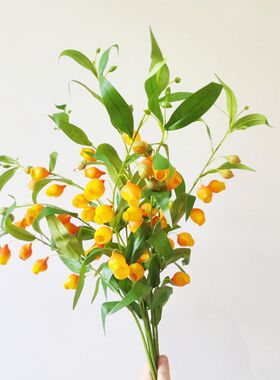 仿真花灯笼花假花宫灯百合花 家居装饰婚庆布置仿真酸浆果薄塑料
