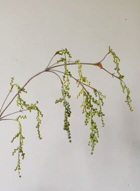 高质量软胶情人豆柔丽丝垂吊果仿生果实绿植仿真配件软装造景配材