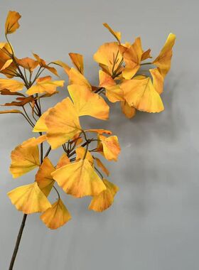 北欧黄色银杏树枝落地禅意样板房