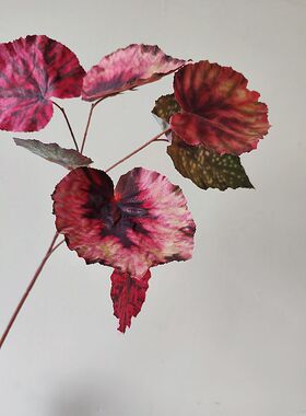 仿真红色叶材 造景海棠叶绿植配草 家居装饰花 单枝假花摄影道具