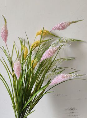 靓插花室内中国谷子枝粉娟1