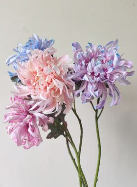 仿真花假花烟花菊绢花插花龙爪菊摆件客厅餐桌花束婚庆摄影道具