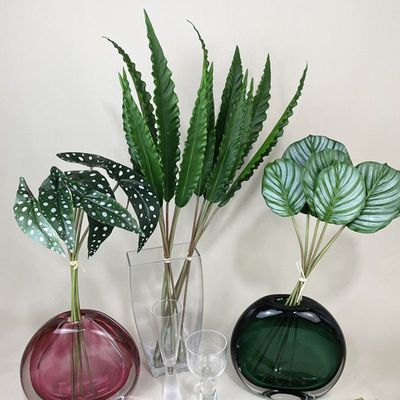 靓绿植室内中国叶子枝绿手感1