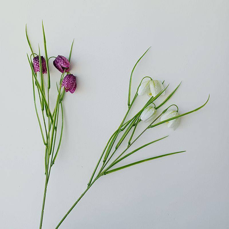 北欧 小众异形花材仿真花 贝母花 韩式装饰花白绿小清新浙母贝花