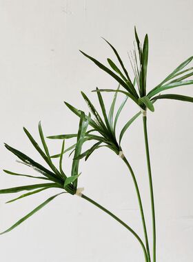 手感仿真吊兰叶紫色灰色假草细兰叶水草垂吊绿叶手捧花软装配材