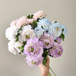 新款仿真花 毛茛洋牡丹 高品质仿真露莲花客厅摆件花艺装饰花