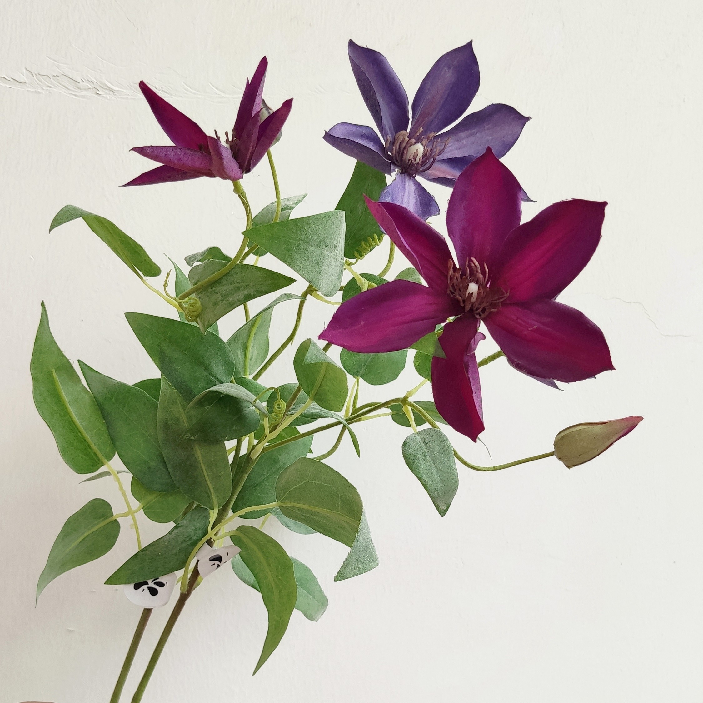 精品多头铁线兰仿真花铁线莲假花室内客厅卧室办公桌茶几