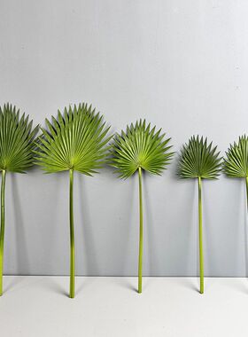仿真叶棕榈叶室内装饰植物树叶子绿植叶蒲葵叶子PU仿真蒲扇芭蕉扇