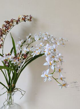 带叶白色仿真花 轭瓣兰 高品质文心兰室内软装花艺摄影道具装饰花