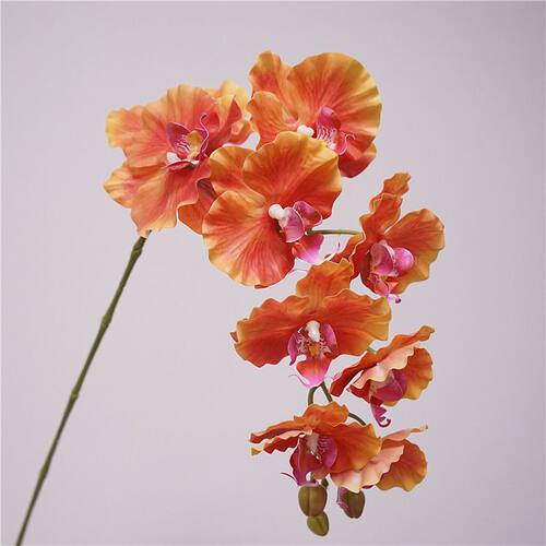 高质仿真花9头蝴蝶兰家居客厅装饰插花摆件婚庆花艺造景摄影道具