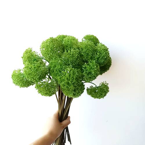 仿真石竹绿色软毛球花