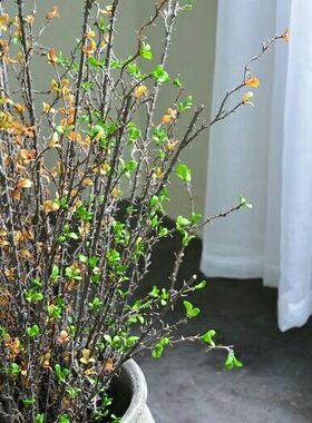 树枝插花高档仿真植物