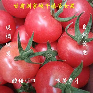 甘肃刘家峡自然熟新鲜圣女果千禧果樱桃小番茄水果6斤包邮