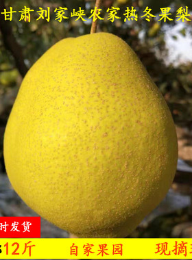 甘肃刘家峡热冬果大果子冬天吃的梨新鲜水果农家现摘带箱10斤包邮