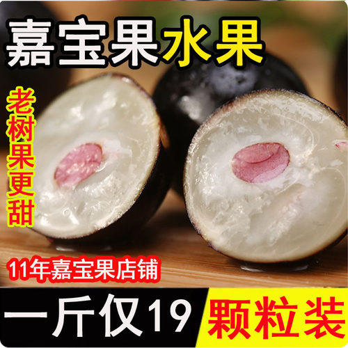 沙巴嘉宝果鲜果树葡萄