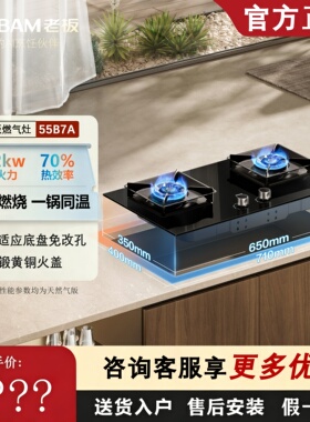 老板爆款55B7A-D2/58B8N/57B9A-D2家用定时燃气灶大火力防干烧