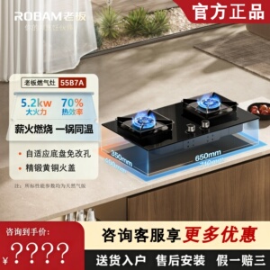 家用定时燃气灶大火力防干烧