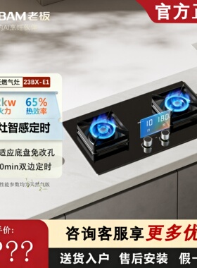 老板小灶王23BX/D-E1/2B0A2/30B5X/22B1A/20B0A定时燃气灶大火力
