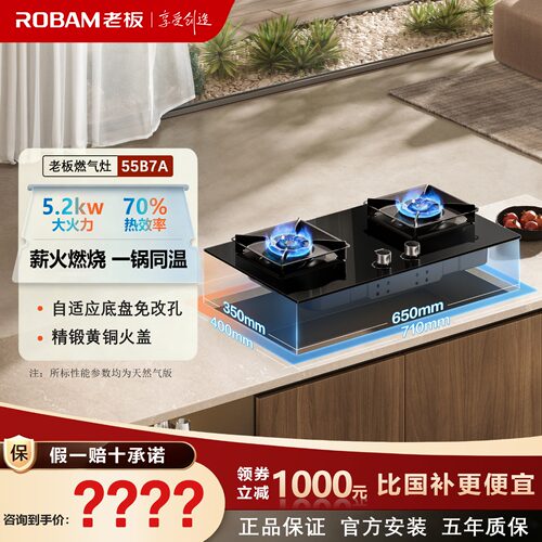 家用定时燃气灶大火力防干烧