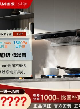 超薄平嵌烟灶联动变频大吸力