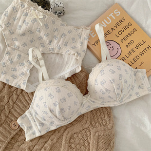 2025新款内衣女小胸聚拢显大亲肤上薄下厚文胸套装无钢圈文胸罩