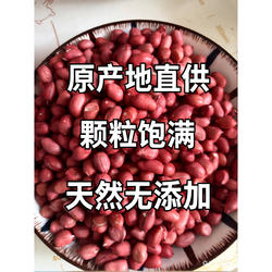 吉林扶余四粒红花生米红皮花生去壳花生米农家红衣花生3斤装