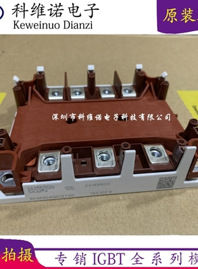 SKIM401GD128D SKIM304GD12T4D SKIM271GD128D SKIM455GD12T4DM1