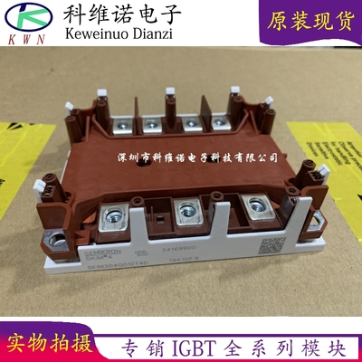 SKIM401GD128D SKIM304GD12T4D SKIM271GD128D SKIM455GD12T4DM1