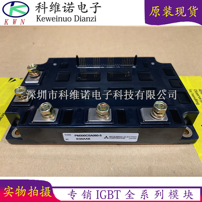 PM300CSA060-5 PM100CSA060 PM300CSD060 PM200CSA060 PM400CSA06