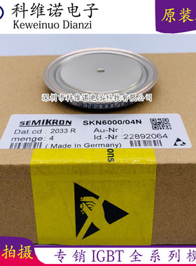 SKN6000/02 SKN6000/04 SKN6000/06 SKN6000/02N T879N200TOF现货