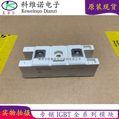 全新SKKE290F06 SKKE301F12 SKKE310F12 SKKE330F17现货价优