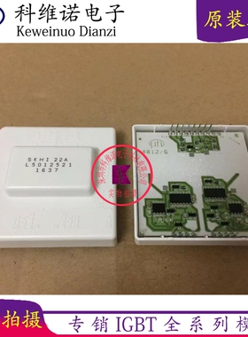 SKHI22BH4R SKHI22AH4R SKHI22R SKHI22R SKHI22A SKHI22AH4