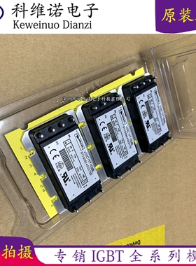 V28C15T100BL V24C15T100BL V24C12C100BL V24C24C100BL V24C28C1