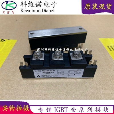 PWB80A40 TM100SZ-M TM100SZ-M PWB150AA30 PWB80A30