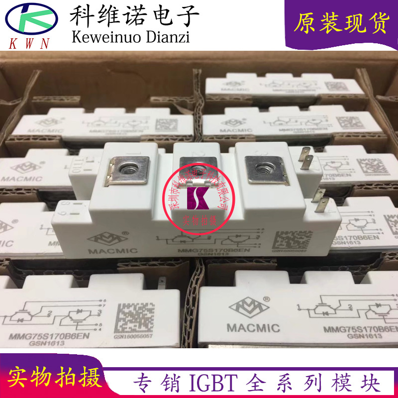 MMG100D170B6EN MMG75S170B6EN MMG100S170B6EN MMG100D170B6EN