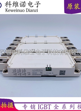 SEMIX653GD176HDC SEMIX353GD176V1 SEMiX653GD176v1 SEMiX253GD1